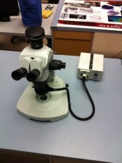 Lab Microscope 2 sized