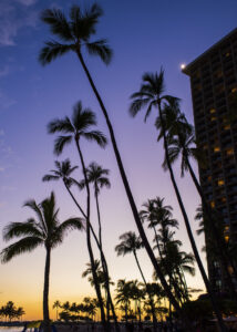 Attending the ARVO 2018 conference in Honolulu, Hawaii on Monday, April 30, 2018. (Photo by Kiffer Creveling)